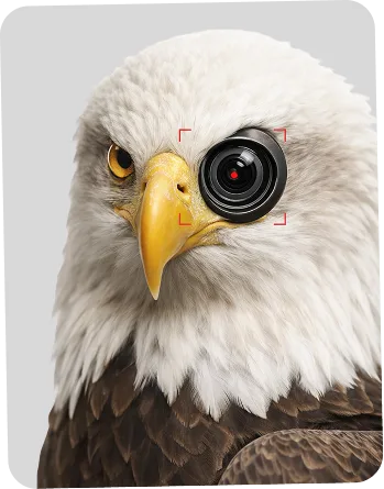 Precision vision concept
